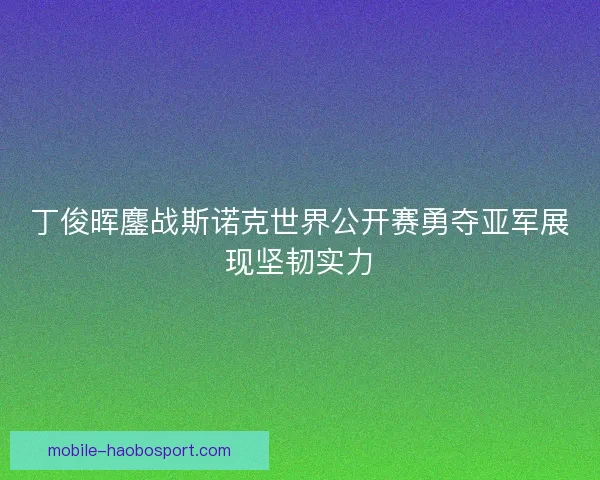 丁俊晖鏖战斯诺克世界公开赛勇夺亚军展现坚韧实力